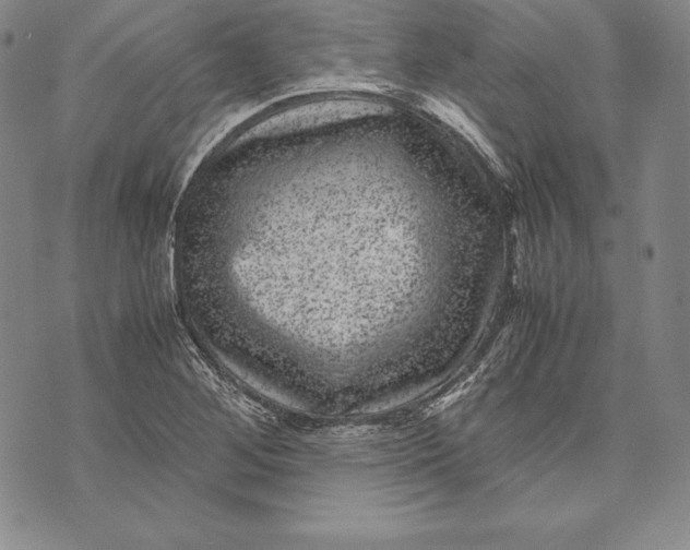 X0000072501268200608041432