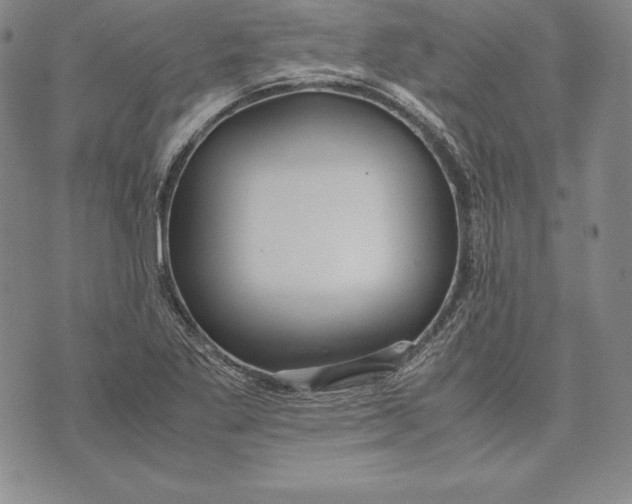 X0000072501269200608041432