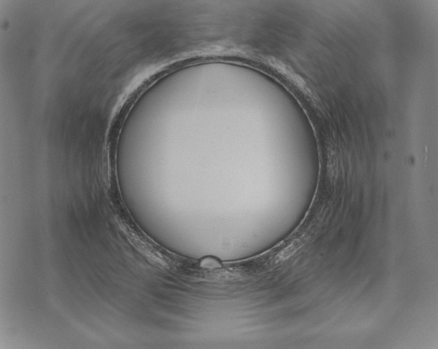 X0000072501270200608041432