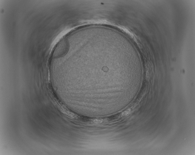 X0000072501271200608041432