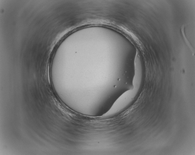 X0000072501272200608041432