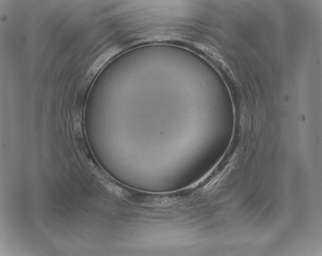 X0000072501273200608041432