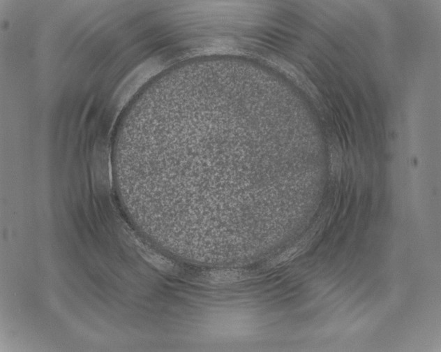 X0000072501274200608041432