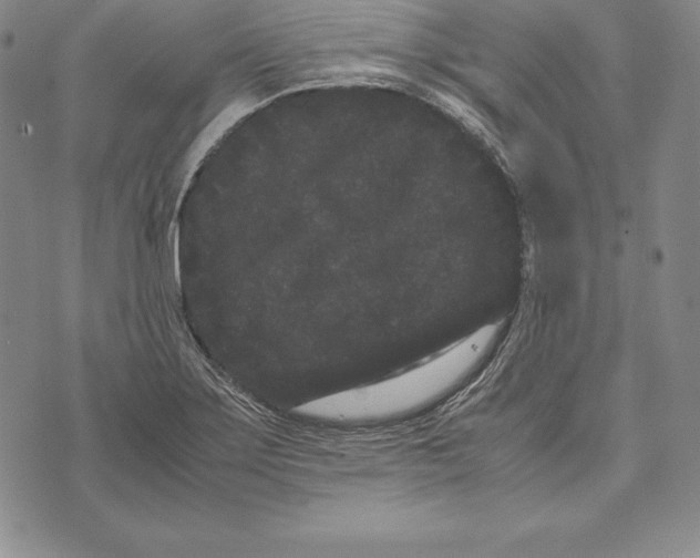 X0000072501275200608041432