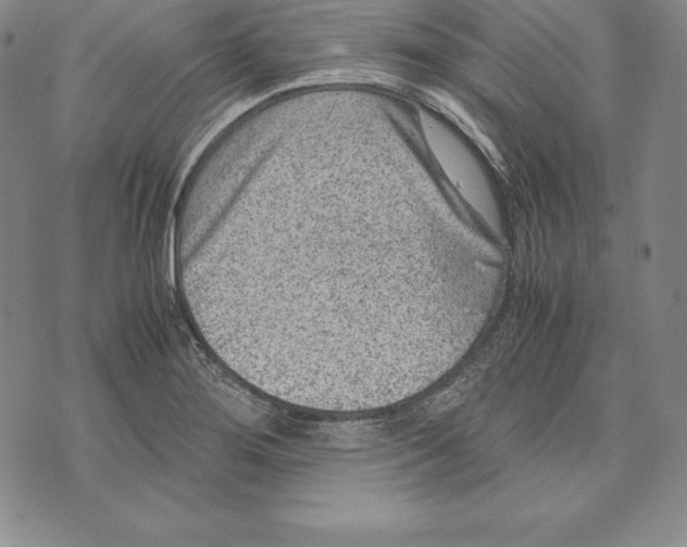 X0000072501276200608041432