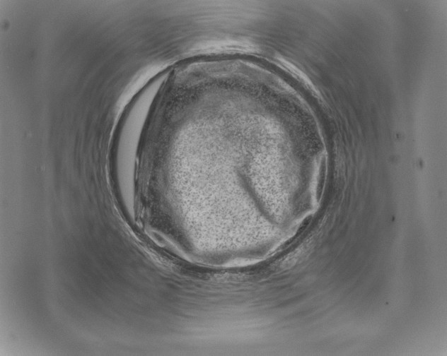 X0000072501277200608041432