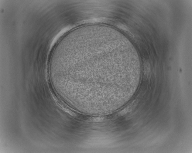 X0000072501278200608041432