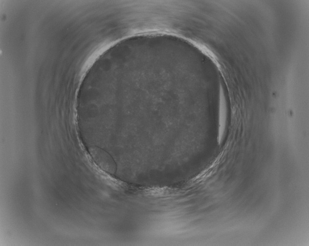 X0000072501279200608041432