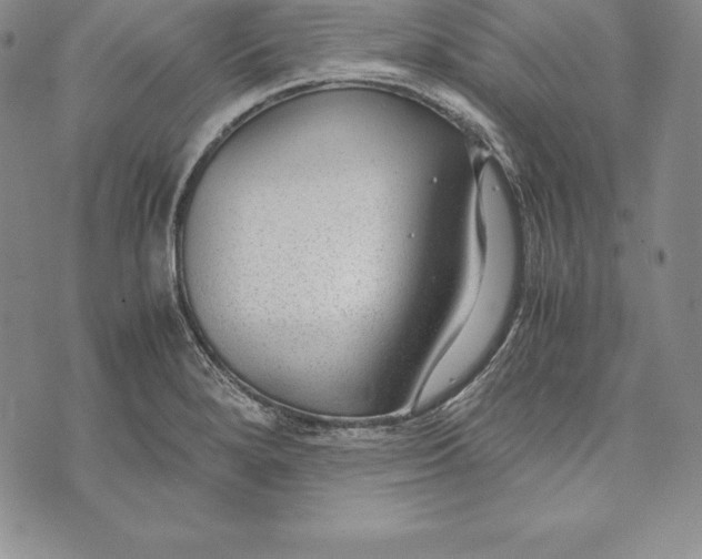 X0000072501280200608041432