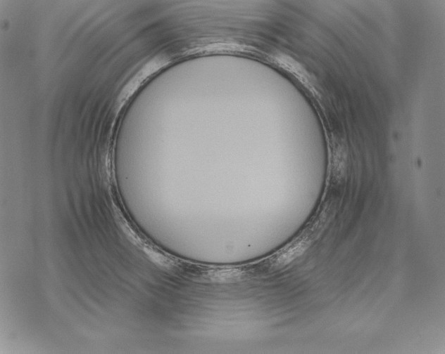 X0000072501282200608041432