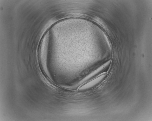 X0000072501283200608041432