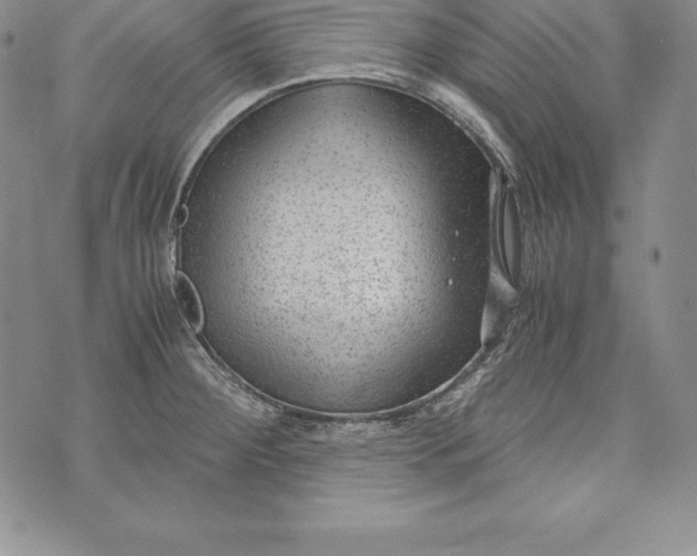 X0000072501284200608041432