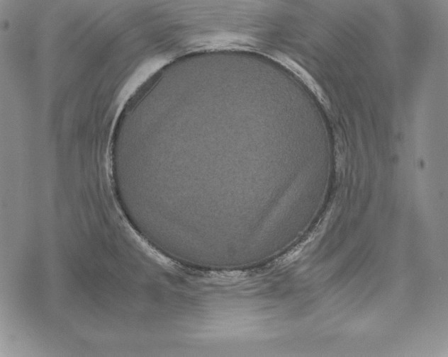 X0000072501285200608041432