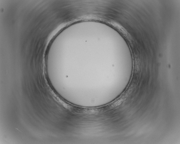 X0000072501286200608041432