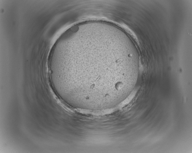 X0000072501287200608041432