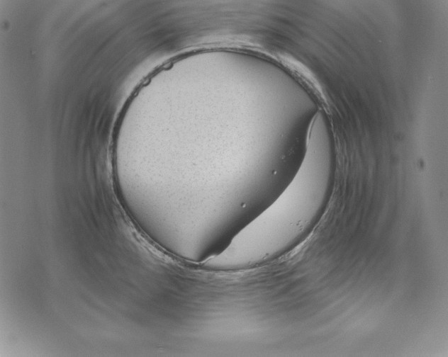 X0000072501288200608041432