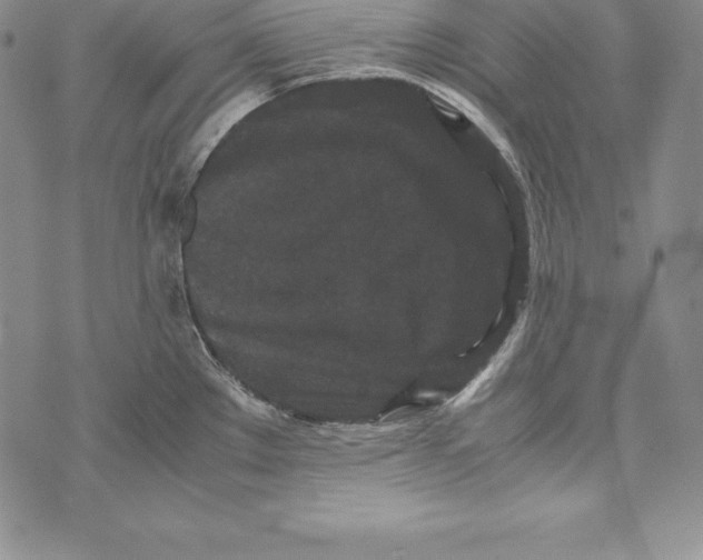 X0000072501289200608041432