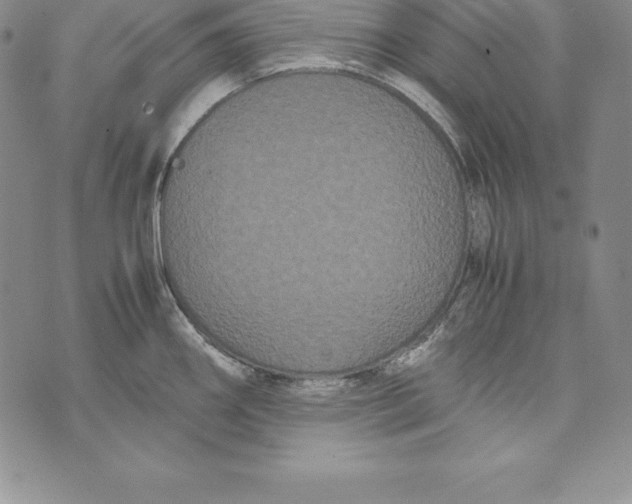 X0000072501290200608041432