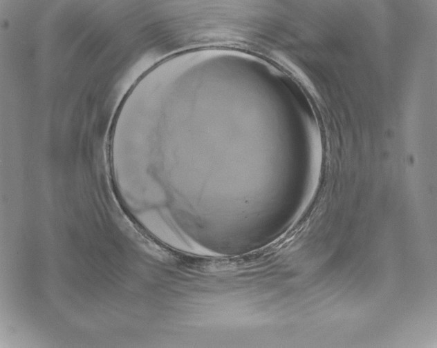 X0000072501291200608041432