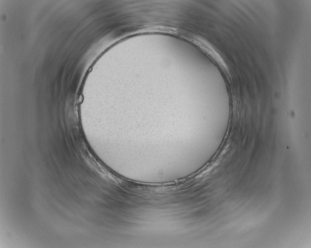 X0000072501292200608041432