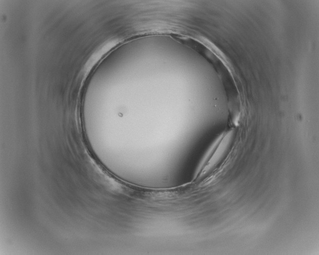 X0000072501293200608041432