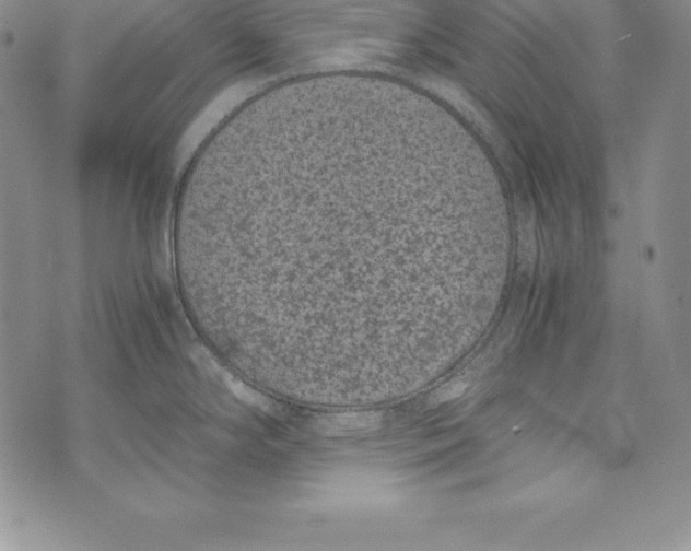 X0000072501294200608041432