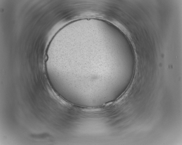 X0000072501296200608041432