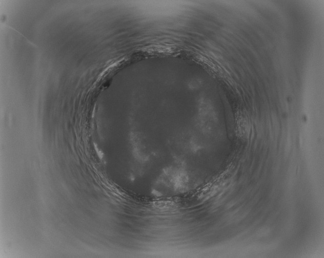 X0000072501297200608041431