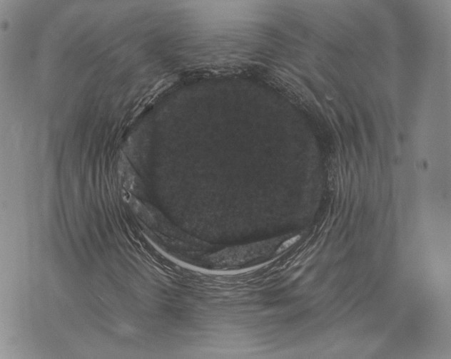 X0000072501298200608041431