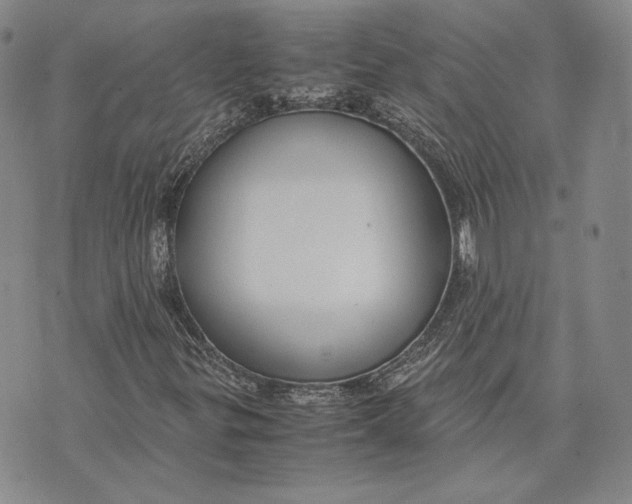 X0000072501299200608041431