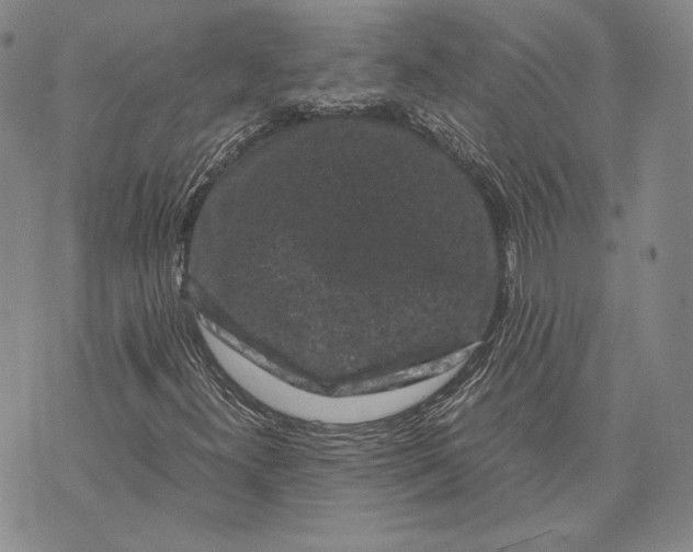 X0000072501300200608041431