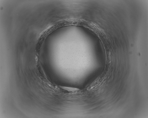 X0000072501302200608041431