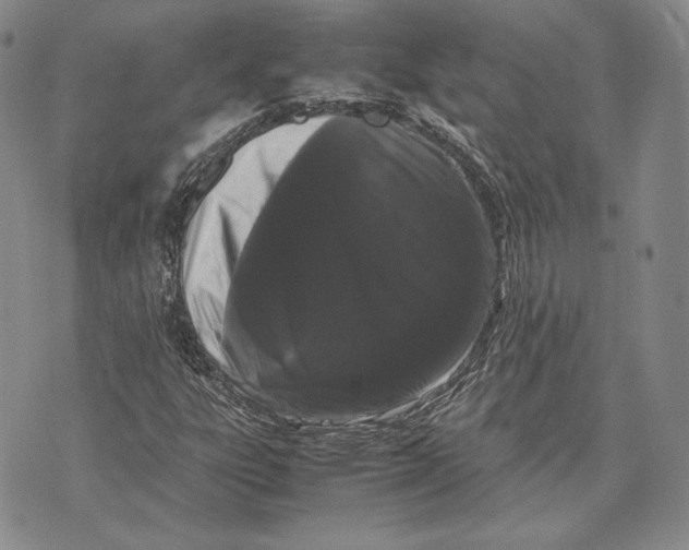 X0000072501303200608041431