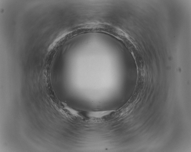 X0000072501304200608041431