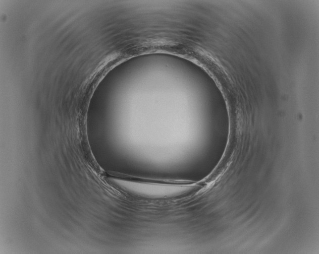 X0000072501305200608041431