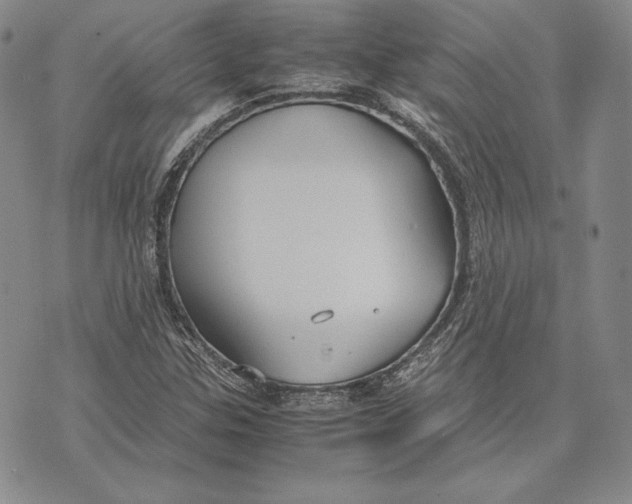 X0000072501307200608041431