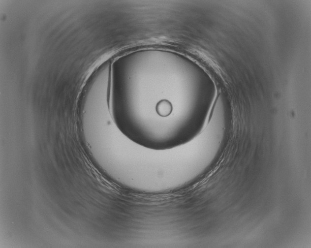 X0000072501308200608041431