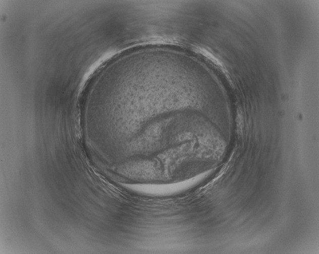 X0000072501310200608041431