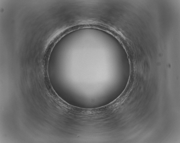 X0000072501311200608041431