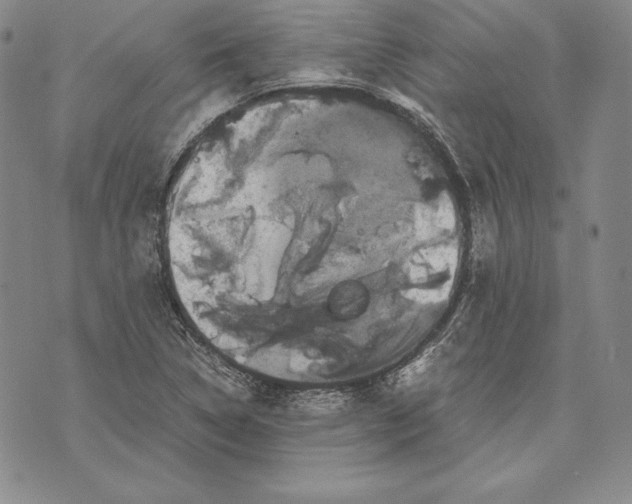 X0000072501314200608041431