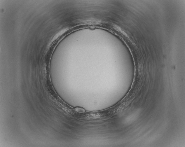 X0000072501315200608041431