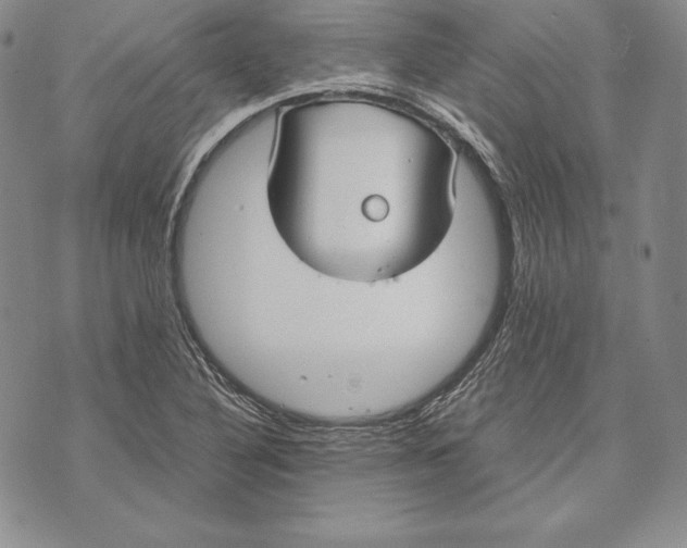 X0000072501316200608041431