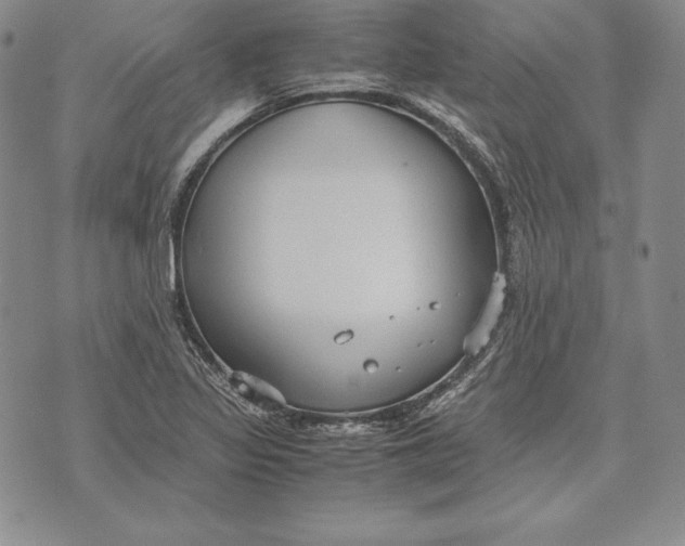 X0000072501317200608041431