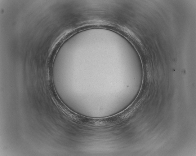 X0000072501318200608041431