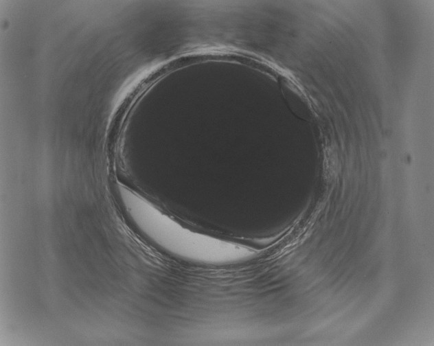 X0000072501319200608041431