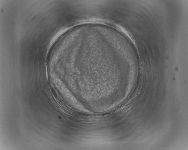 X0000072501320200608041431