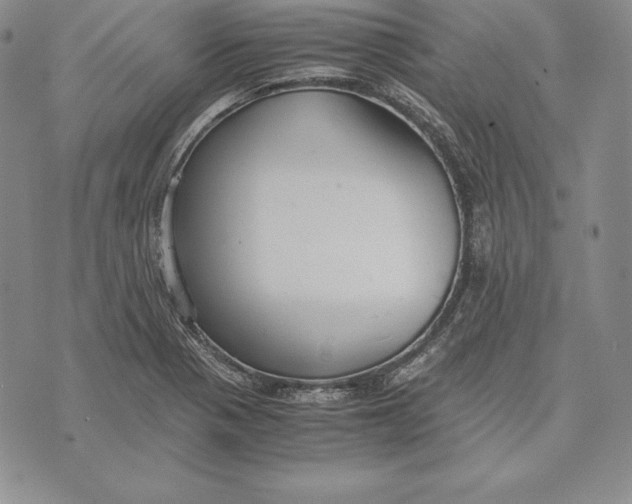 X0000072501321200608041431