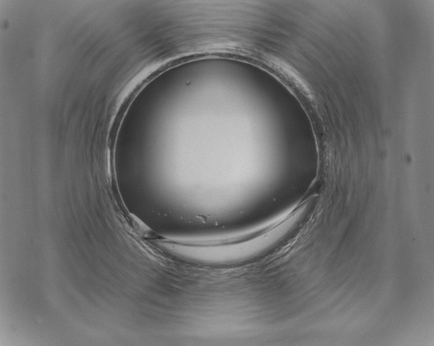 X0000072501324200608041431