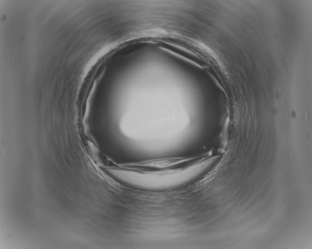 X0000072501326200608041431