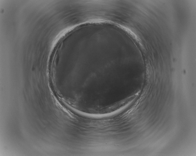 X0000072501327200608041431